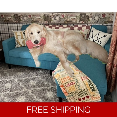 Have a question Get the answer